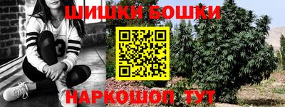 прущие грибы Кимры