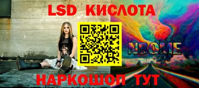 прущие грибы Кимры