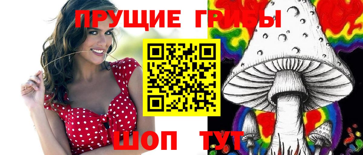 Галлюциногенные грибы прущие грибы Балашов